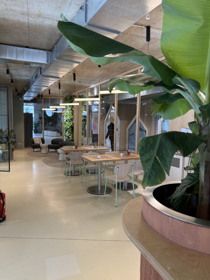 Ein Foto unserer Gastronomie dem MICHLS deli. Darauf zu sehen sind einige Tische und Stühle.